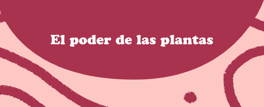Herboristería