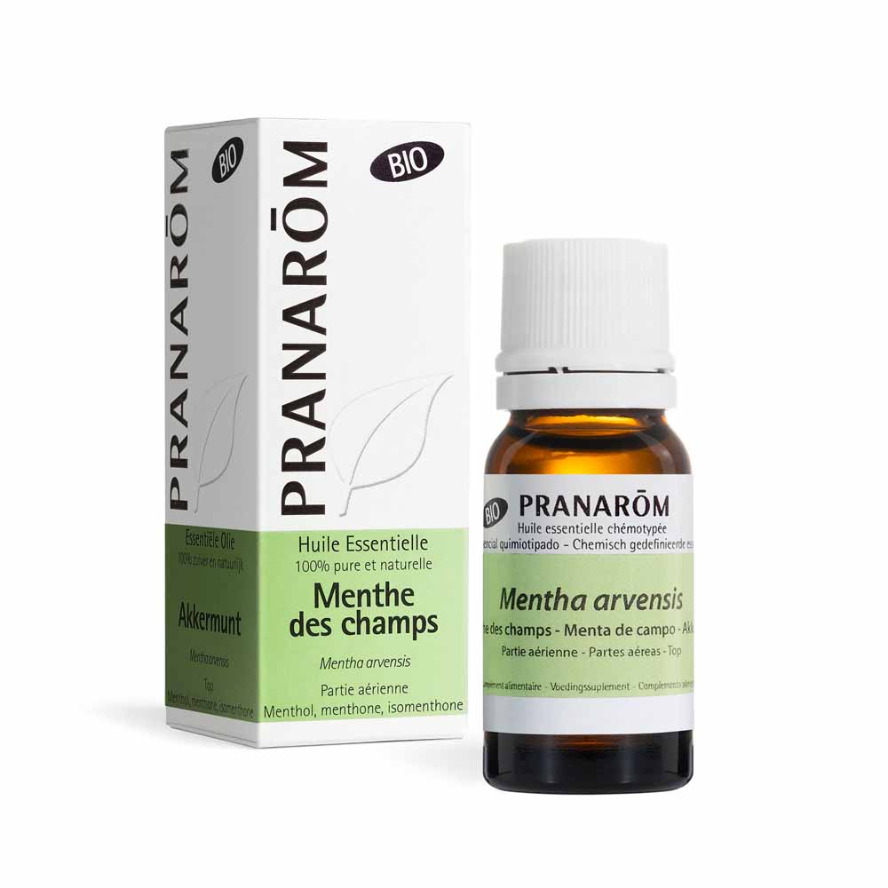 Pranarôm Aceites Esenciales Menta de campo parte aérea 10 ml
