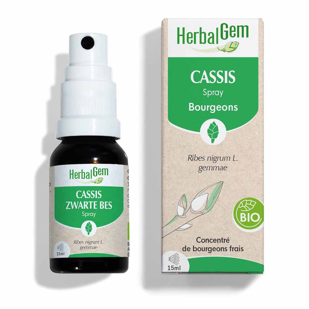 Herbalgem Yemas Aerosol de grosella negra Bio 15 ml