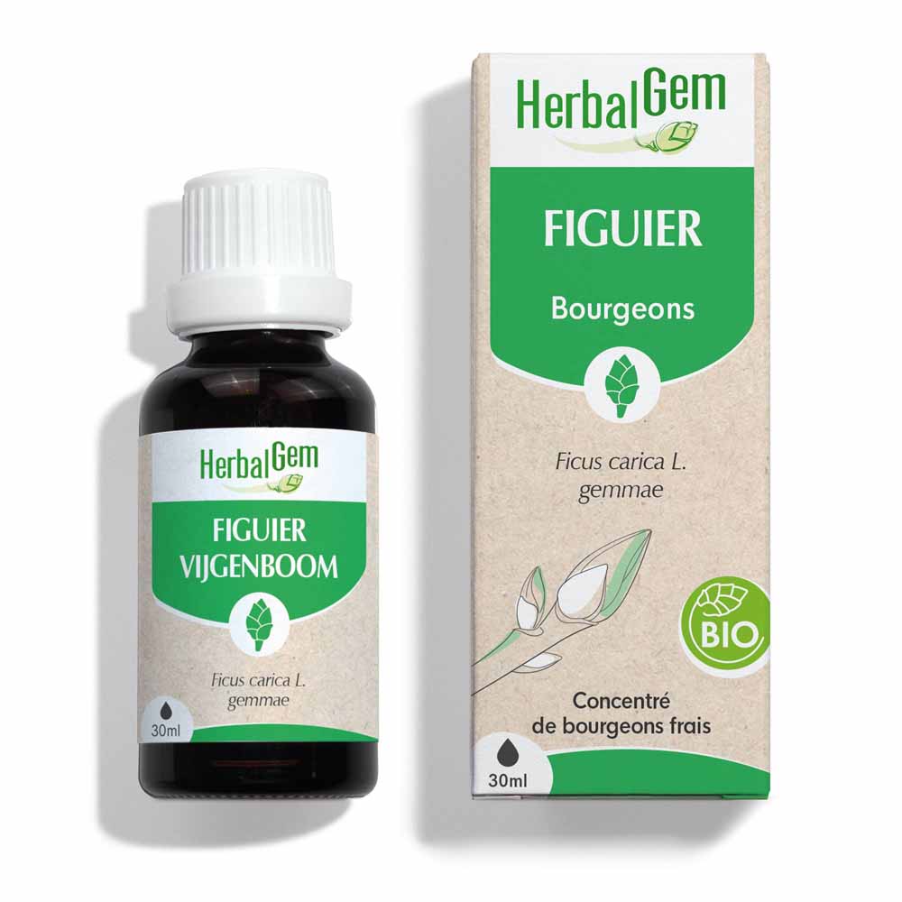Herbalgem Bio Higuera 30ml