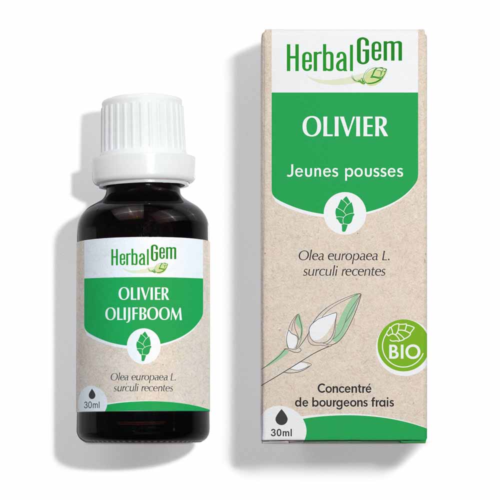Herbalgem Biografía de Olivo 30 ml