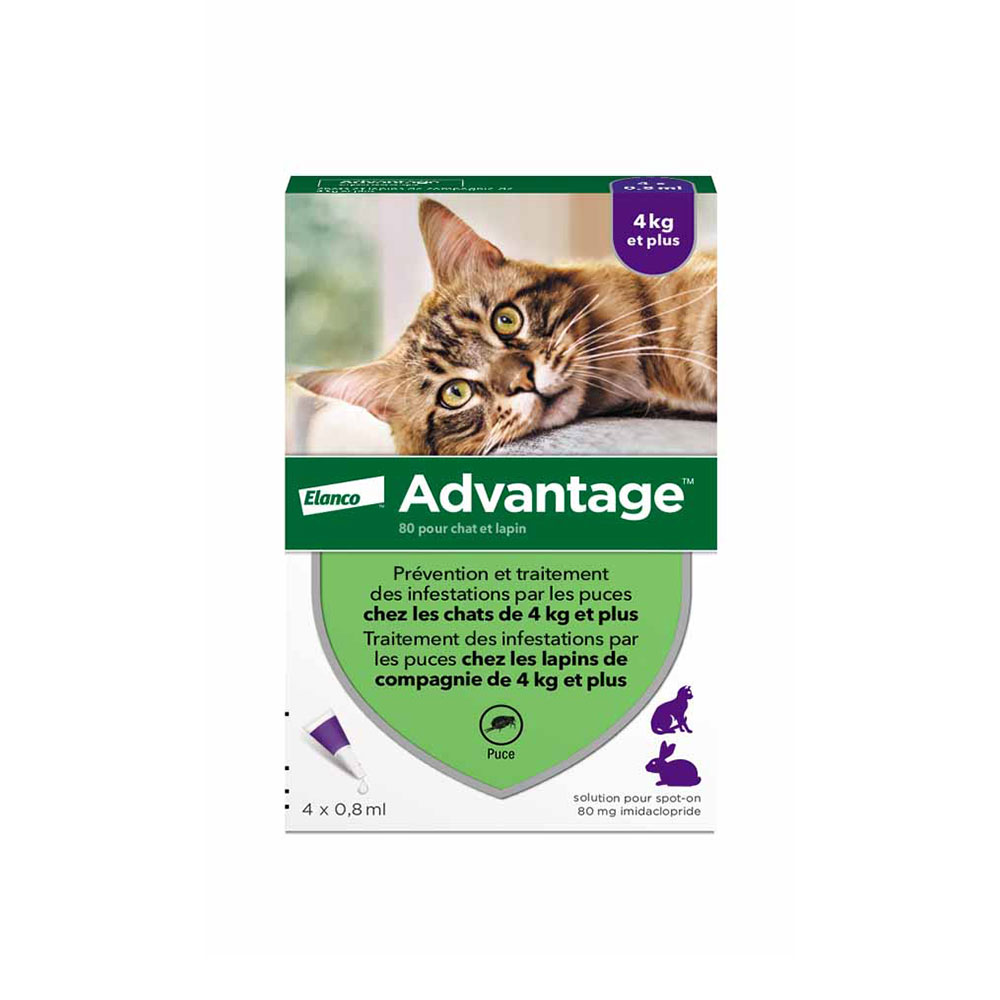 Advantage Solución antiparásitos spot-on gatos y conejos +4kg 4x0.8ml