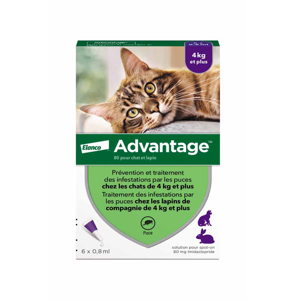 Advantage 80 Gatos Conejos Grandes + de 4kg 6x0.8ml