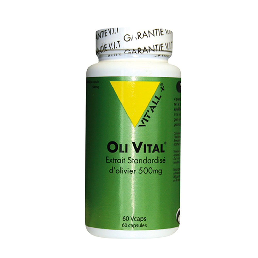 Vit'All+ Extracto estandarizado de olivo 500 mg 500mg